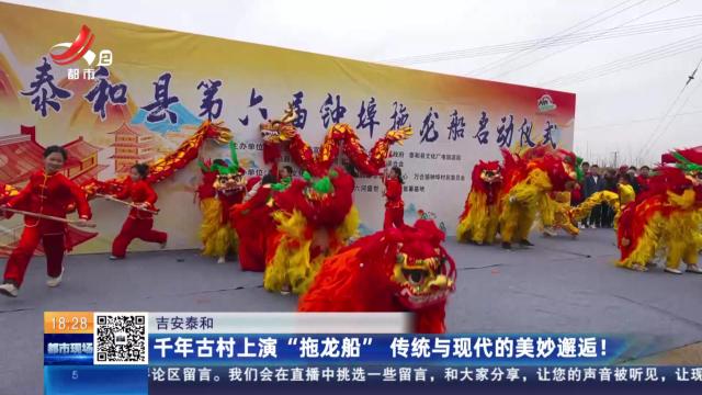 吉安泰和：千年古树上演“拖龙船” 传统与现代的美妙邂逅！