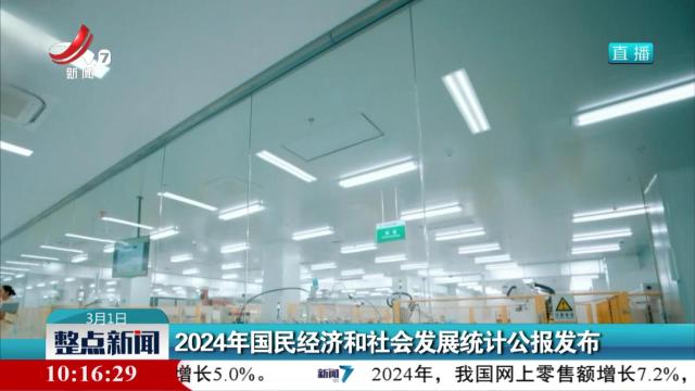 2024年国民经济和社会发展统计公报发布