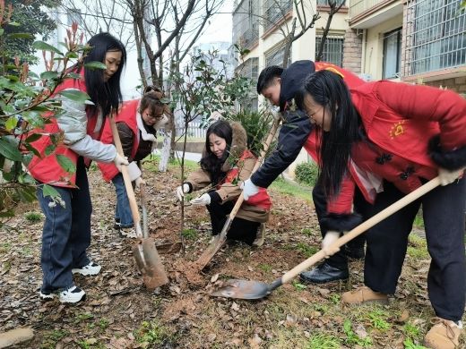 宜春奉新：不负春光 “植”此青绿