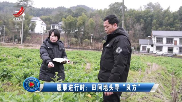 社会传真20250302 履职进行时：田间地头寻“良方”
