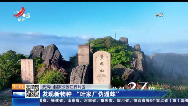 武夷山国家公园江西片区：发现新物种 “叶家厂伪遁蛛”