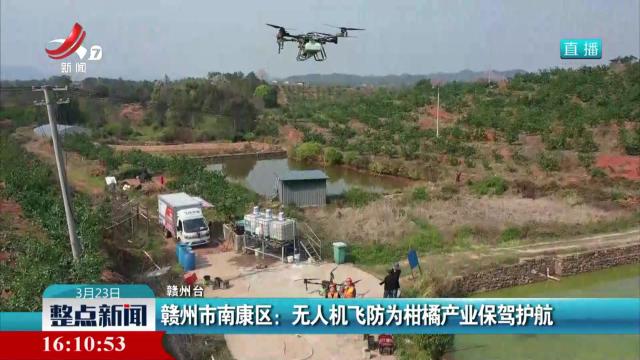 赣州市南康区：无人机飞防为柑橘产业保驾护航