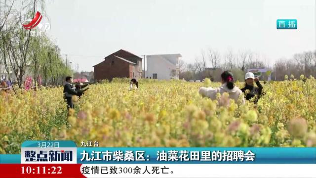 九江市柴桑区：油菜花田里的招聘会