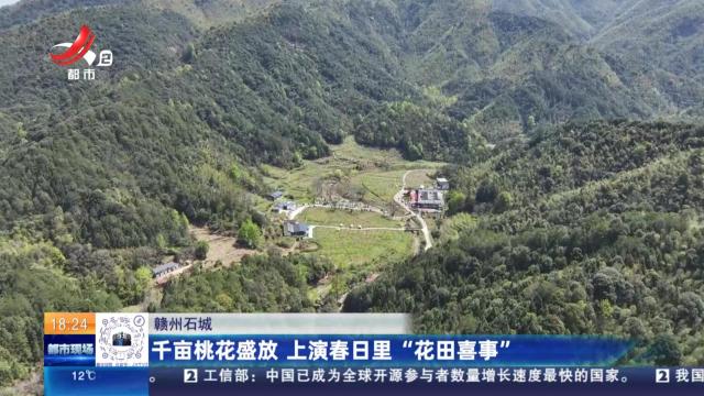 赣州石城：千亩桃花盛放 上演春日里“花田喜事”