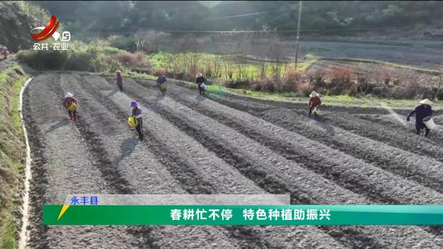 三农头条20250327
