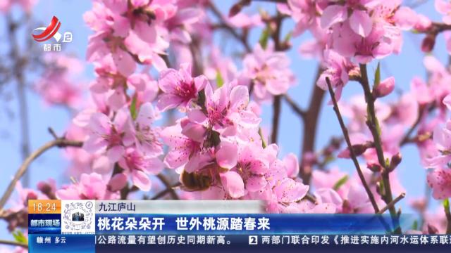九江庐山：桃花朵朵开 世外桃源踏春来