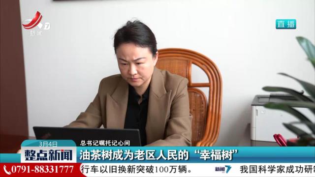 【总书记嘱托记心间】油茶树成为老区人民的“幸福树”