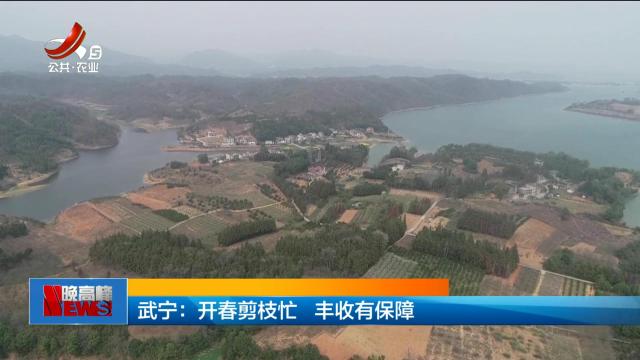 武宁：开春剪枝忙 丰收有保障