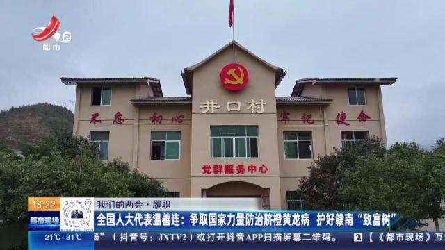 都市现场20250301