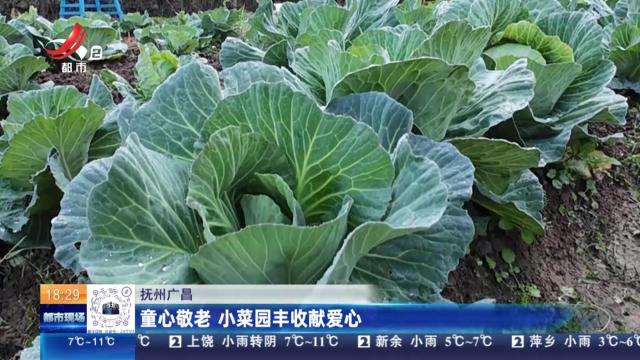 抚州广昌：童心敬老 小菜园丰收献爱心