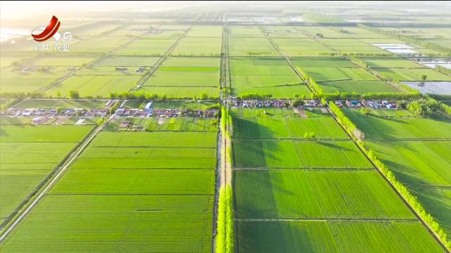 新闻晚高峰20250318
