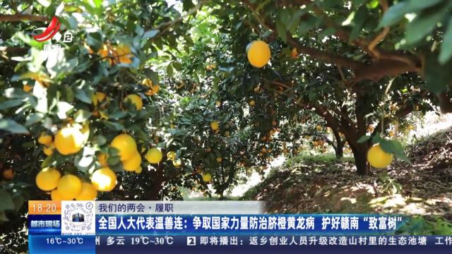 【我们的两会·履职】全国人大代表温善连：争取国家力量防治脐橙黄龙病 护好赣南“致富树”