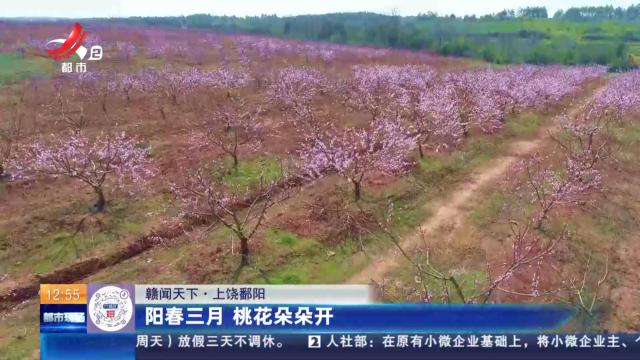 【赣闻天下】上饶鄱阳：阳春三月 桃花朵朵开