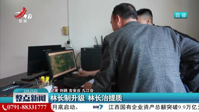 林长制升级 林长治提质