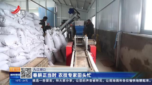 九江湖口：春耕正当时 农技专家田头忙