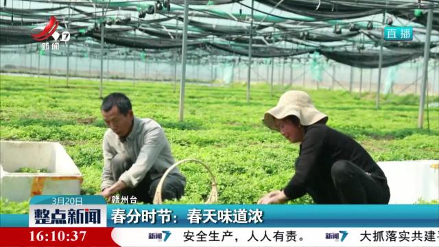 春分时节：春天味道浓