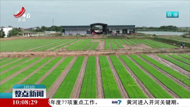 【干出好年景 拼出好气象】加大良种推广 提高早稻种植效益
