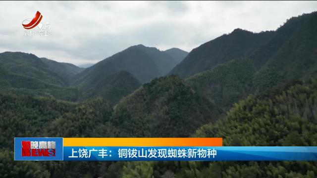 上饶广丰：铜钹山发现蜘蛛新物种