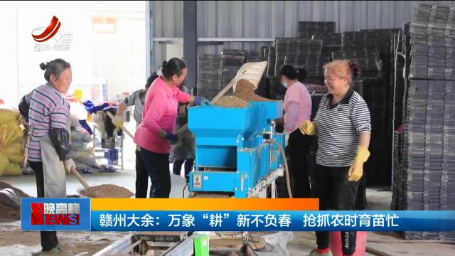赣州大余：万象“耕”新不负春 抢抓农时育苗忙