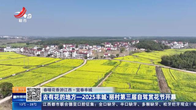 【春暖花香游江西】宜春丰城：去有花的地方——2025丰城·丽村第三届自驾赏花节开幕