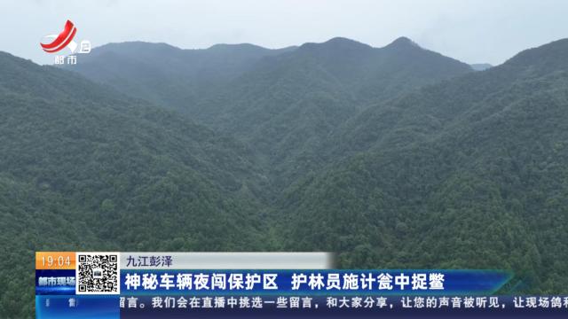 九江彭泽：神秘车辆夜闯保护区 护林员施计瓮中捉鳖