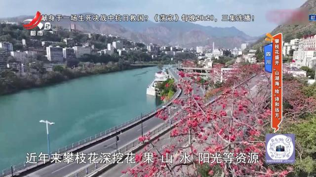 地宝当家20250318