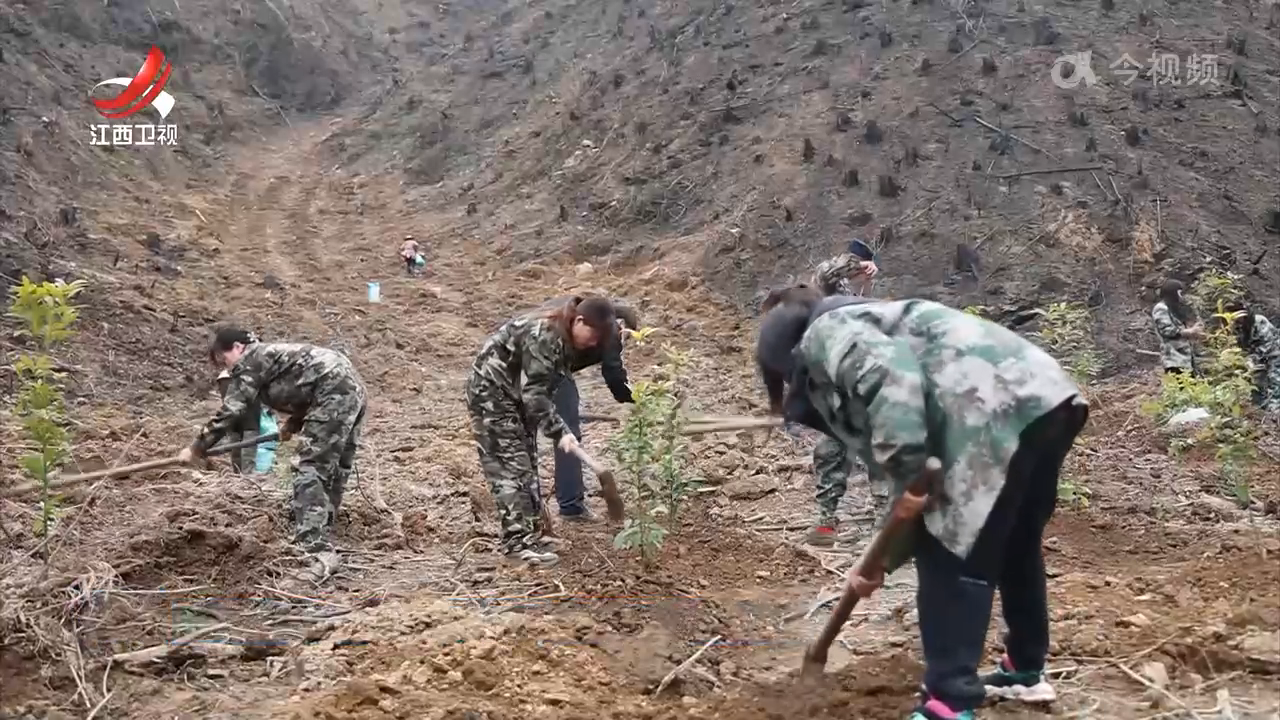 植树增绿 共建美丽赣鄱
