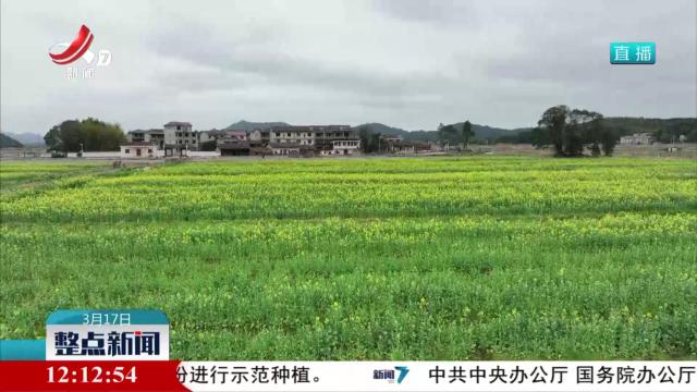 踏青赏花 感受美丽春色