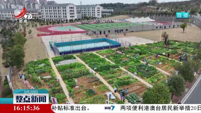 课间15分钟：让学生身上出汗 心里阳光