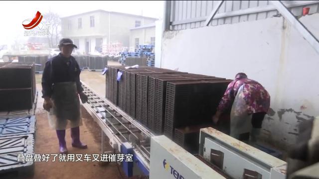 新闻晚高峰20250319
