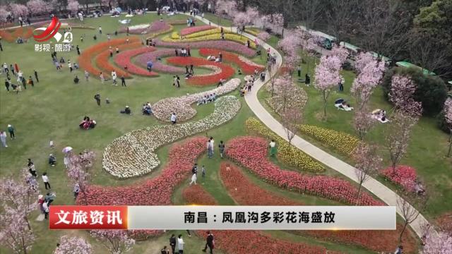 南昌：凤凰沟多彩花海盛放