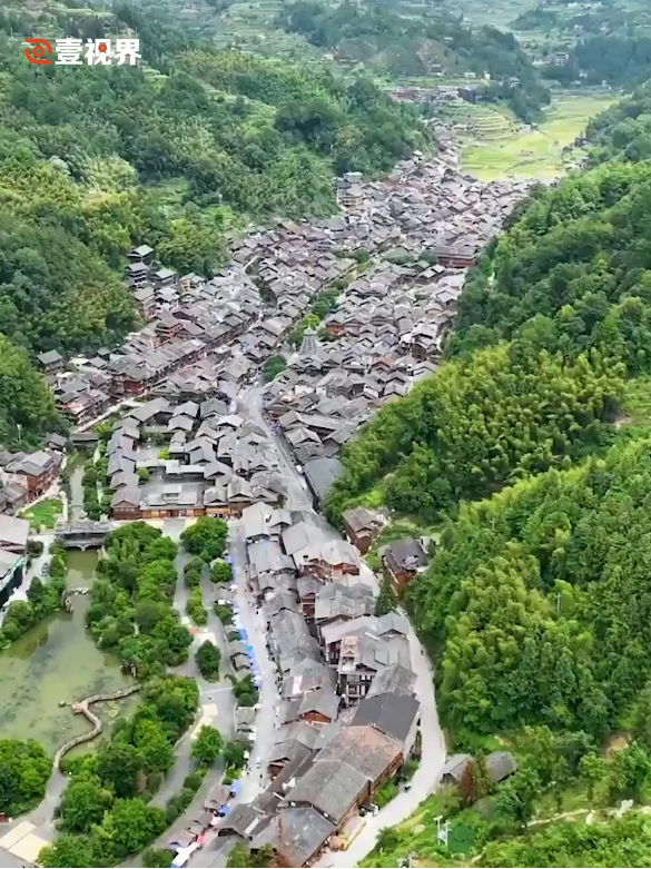 壹视界·微视频｜幸福生活，像花儿一样绽放
