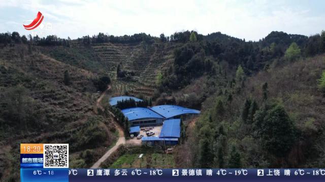 都市现场20250318
