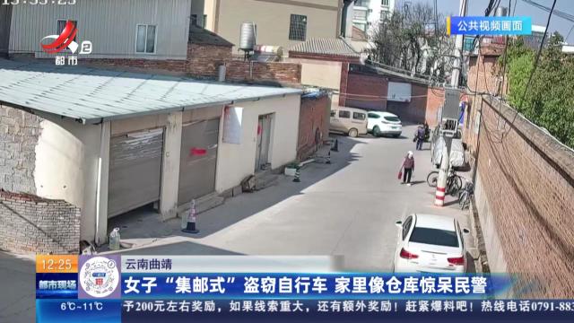 都市现场·午间版20250315