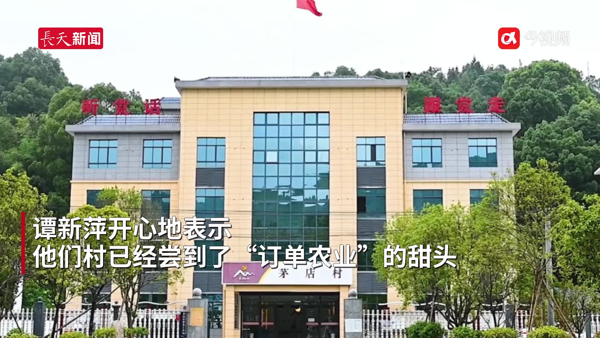 全国人大代表谭新萍：推广订单农业，让农产品不愁卖