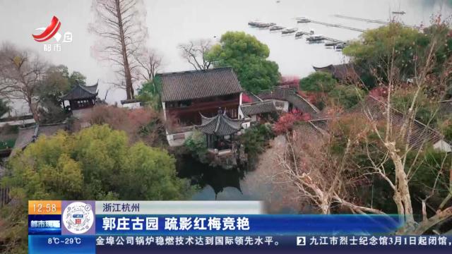 浙江杭州：郭庄古园 疏影红梅竞艳