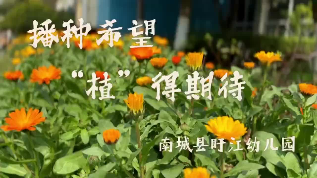 南城县盱江幼儿园：播种希望  “植”得期待