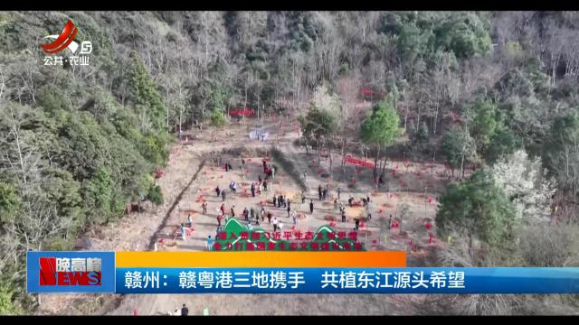 赣州：赣粤港三地携手 共植东江源头希望