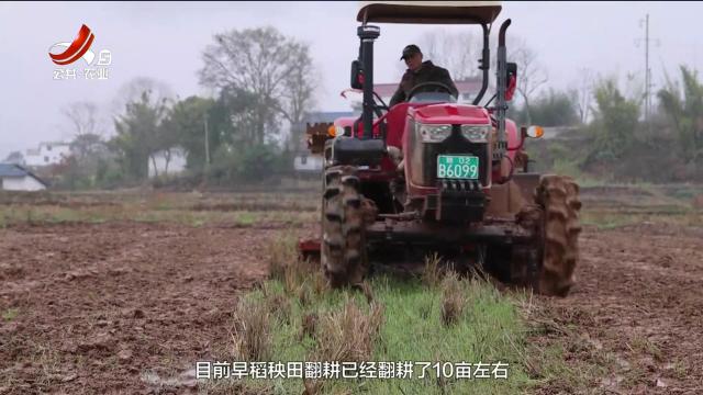 三农头条20250313