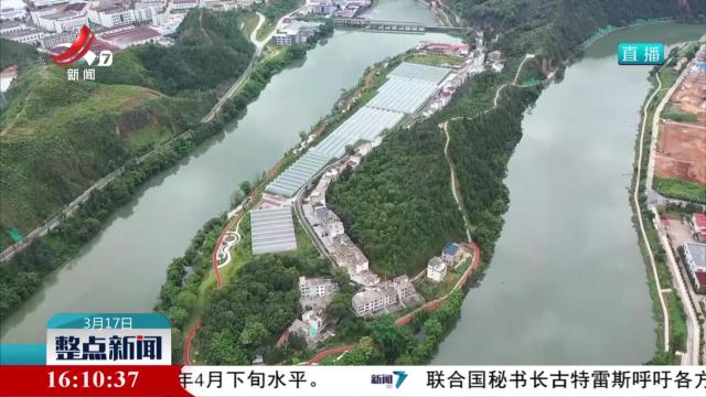 整点新闻20250317 16：00