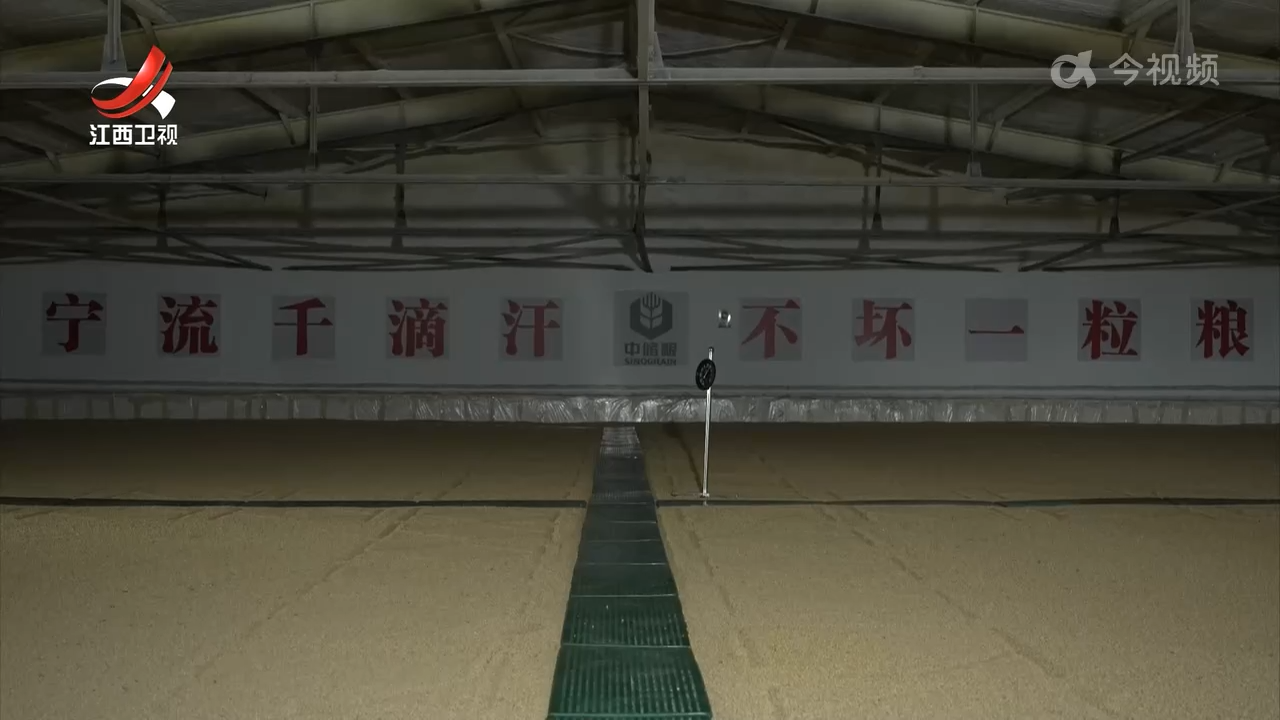 我省下达3.53亿元资金支持省级储备粮油轮换