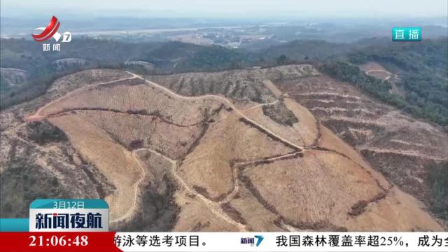 分类实施科学绿化 森林质量持续向好