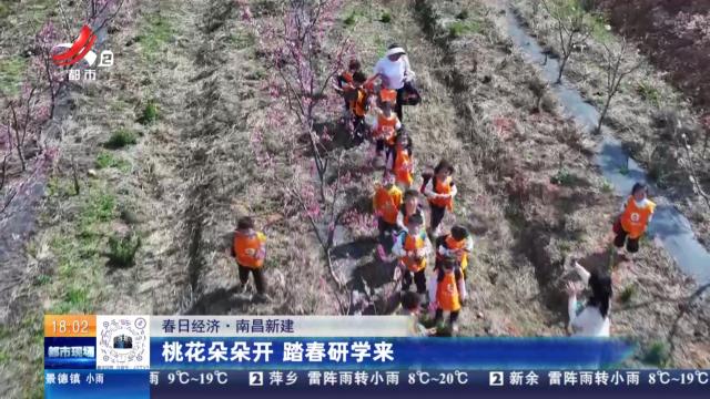【春日经济】南昌新建：桃花朵朵开 踏春研学来