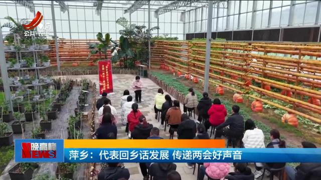 萍乡：代表回乡话发展 传递两会好声音