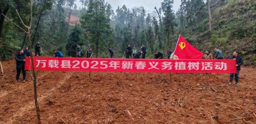 “植”此青绿 共“树”万载 万载县开展2025年新春义务植树活动