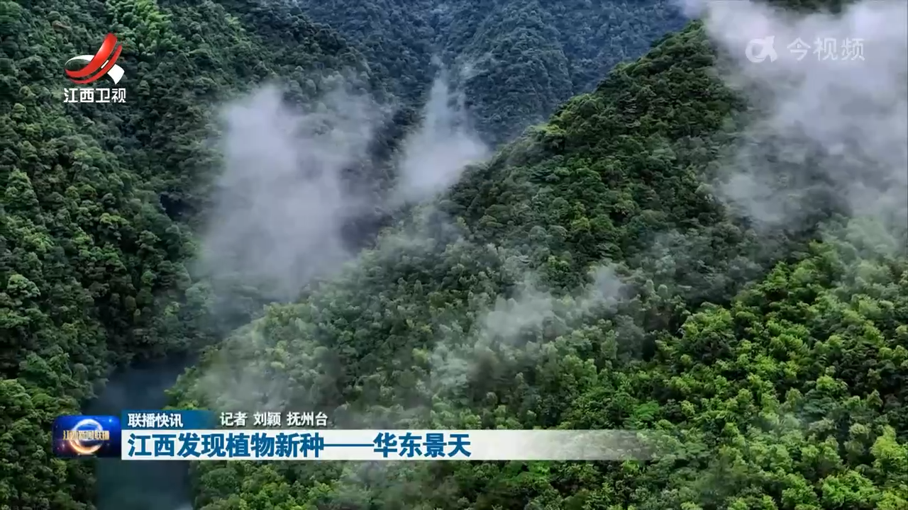 江西发现植物新种——华东景天