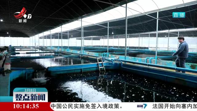 共青城：科技赋能“水上春耕” 渔业大棚播下“智慧种子”