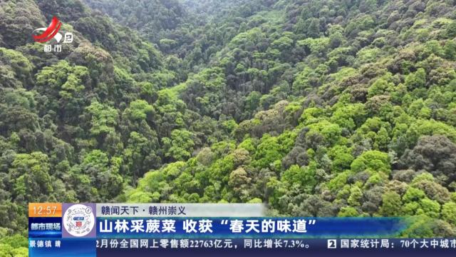 【赣闻天下】赣州崇义：山林采蕨菜 收获“春天的味道”