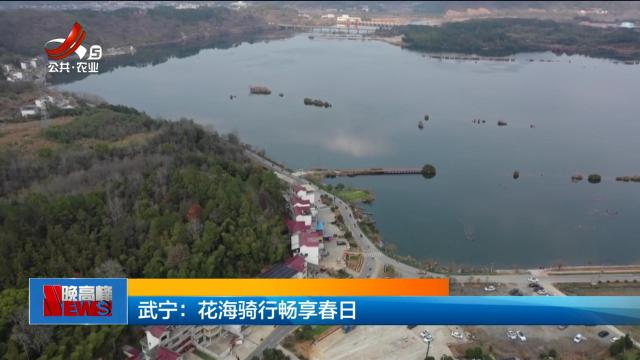 武宁：花海骑行畅享春日