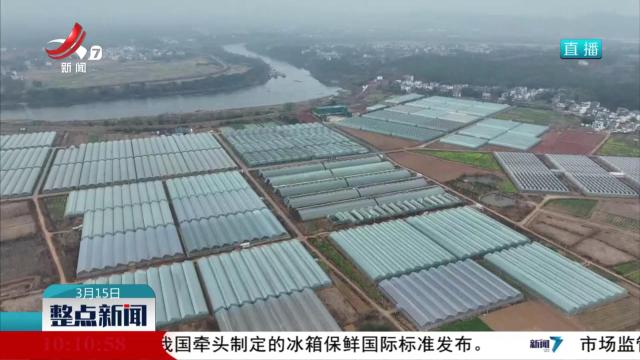 【改革在身边】江西：党建引领 共绘基层治理“同心圆”